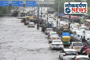 Gorakhpur news: कैम्पियरगंज में किसानों की खुशहाली: बारिश से धान की फसल को मिली संजीवनी, उपज बढ़ने की उम्मीद