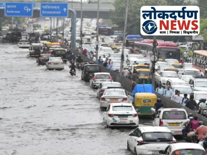 Gorakhpur news: कैम्पियरगंज में किसानों की खुशहाली: बारिश से धान की फसल को मिली संजीवनी, उपज बढ़ने की उम्मीद