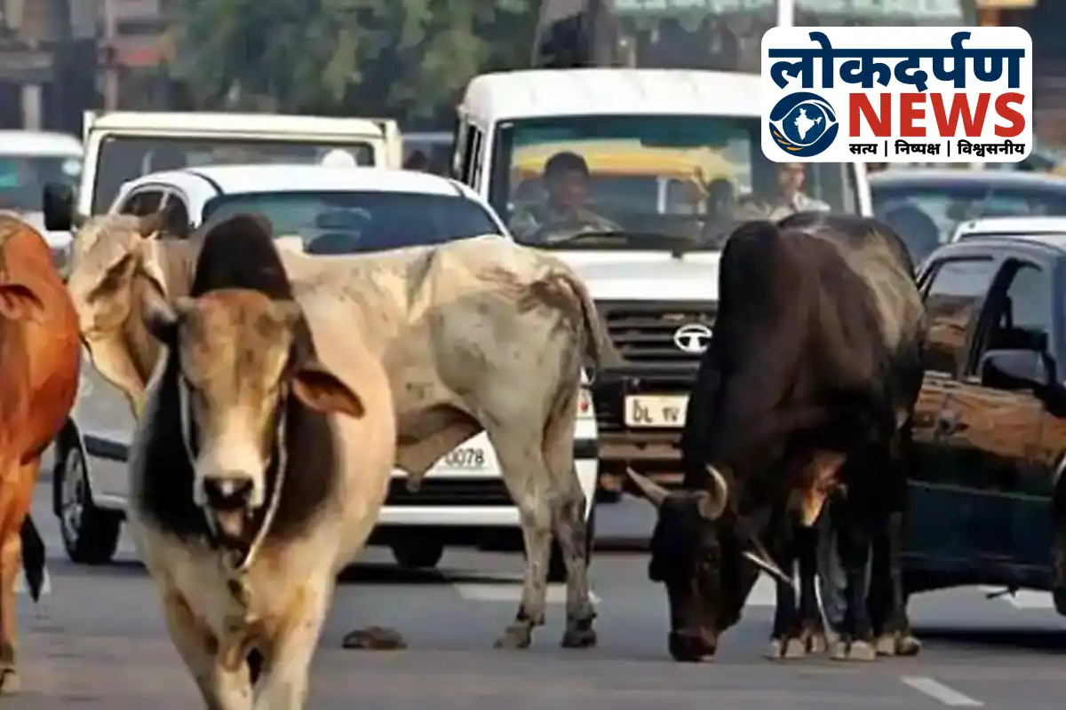 Badaun cow head protest and highway blockade | UP News