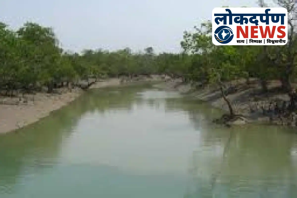 Canal site in Prayagraj where minor Hasanain Alam’s body was found | UP News