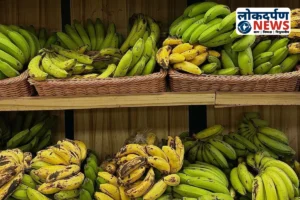 Gorakhpur News : गोरखपुर में 400 किलो केमिकल युक्त केला नष्ट, खाद्य सुरक्षा विभाग की बड़ी कार्रवाई, सरसों का तेल जब्त