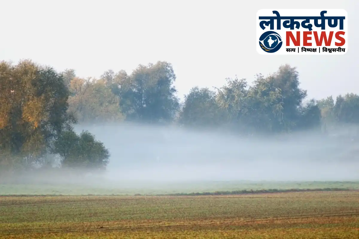 Misty winter morning in Uttar Pradesh with fog over fields and trees | UP News