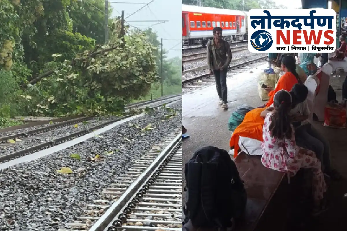 Tree fallen on railway track in Gorakhpur causing train delay | Gorakhpur News