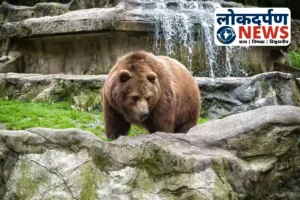 गोरखपुर चिड़ियाघर में सर्दी से वन्यजीवों की सुरक्षा के पुख्ता इंतजाम, बंदरों को कंबल और सांपों के लिए पुआल बिछाया गया