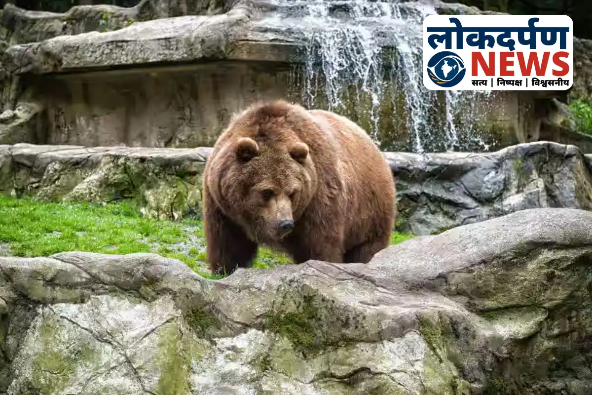 Winter arrangements for animals in Gorakhpur Zoo