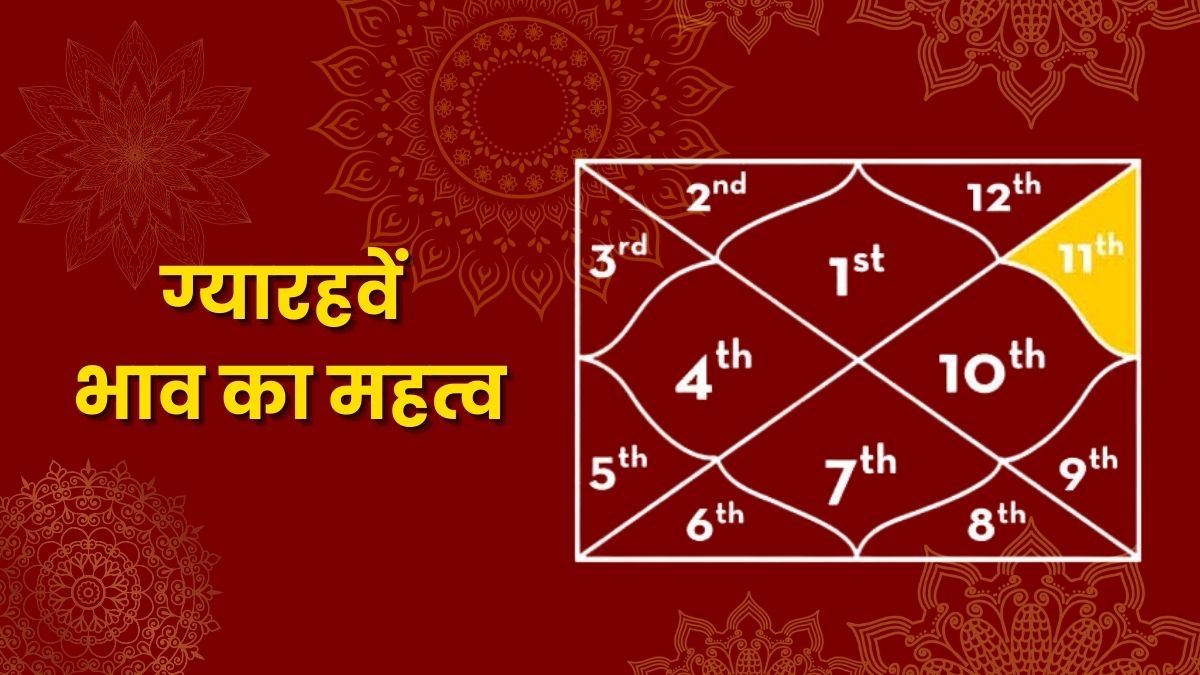 An In depth Analysis of the 11th House The Pinnacle of Gains Networking and Wish Fulfillment